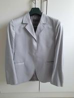 zilverkleurig jasje – Massimo Dutti Women – maat 44, Vêtements | Femmes, Vestes & Costumes, Comme neuf, Taille 42/44 (L), Autres couleurs