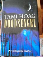 Doodsengel Tami Hoag, Enlèvement