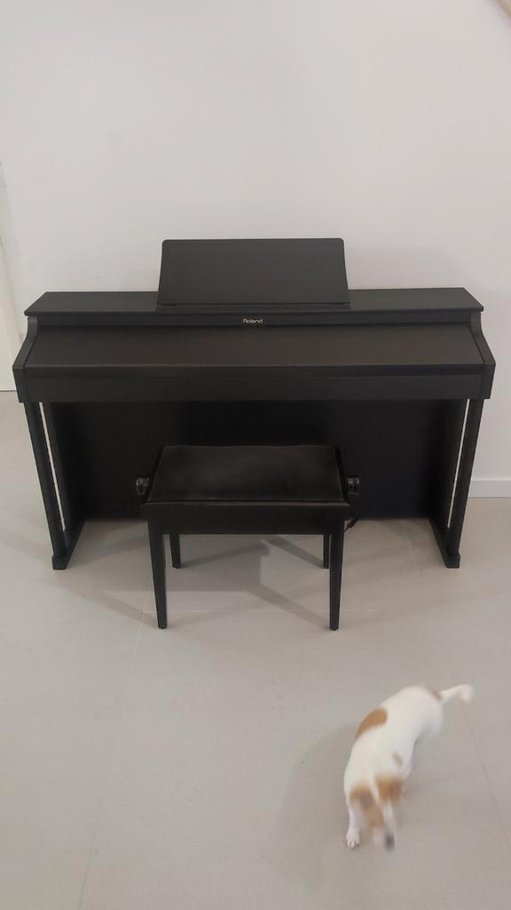 Roland HP 302 digitale piano, Muziek en Instrumenten, Piano's, Piano, Zwart, Ophalen