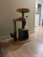 Krabpaal  cactus, Ophalen, Nieuw, Krabpaal