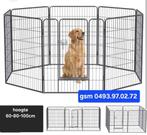 hondenren-puppyren NIEUW IN DE DOOS, Ophalen, Nieuw