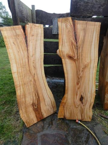 boomschijf boomplank houtschijven planken blokken salontafel