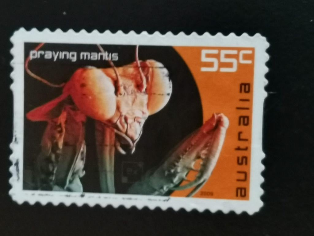 Australie 2009 - insecten, sprinkhanen, bidsprinkhaan, Ophalen of Verzenden, Gestempeld