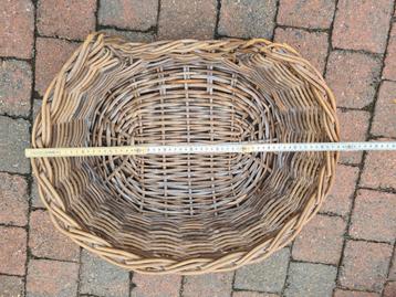 Rotan hondenmand beschikbaar voor biedingen