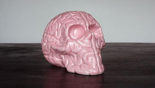Skull brain pink porcelain, Antiquités & Art, Antiquités | Porcelaine, Enlèvement ou Envoi