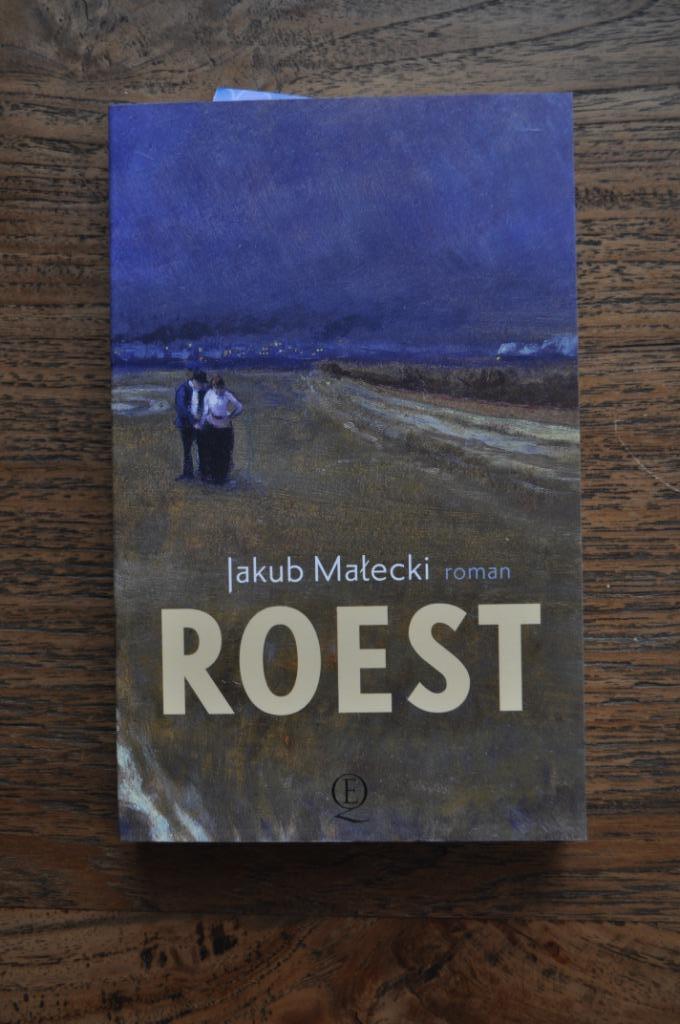 ROEST, Boeken, Romans, Zo goed als nieuw, België, Ophalen of Verzenden