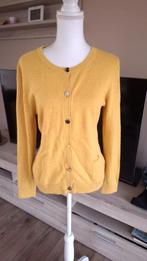 Gilet Gigue, Gigue, Enlèvement ou Envoi, Jaune