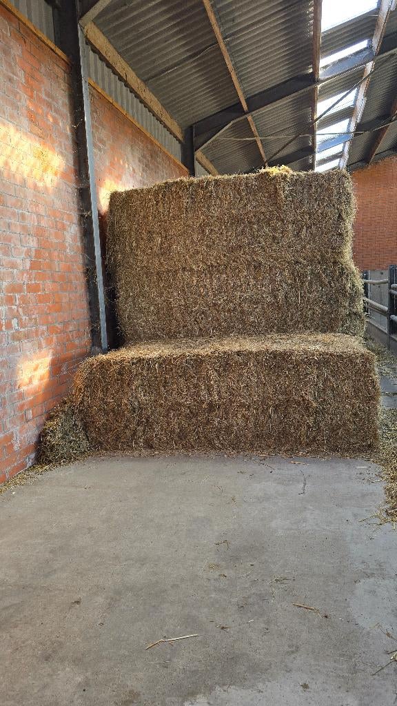 16 grote balen grashooi (570 kg/stuk) wegens stopzetting, Ophalen