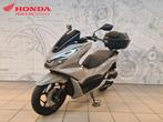 Honda PCX 125 (année de construction 2023), Scooter, Entreprise, 125 cm³, Jusqu'à 11 kW