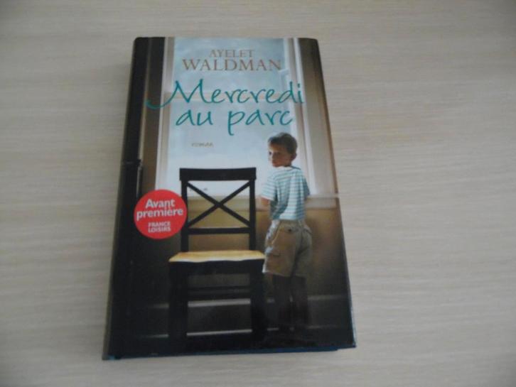 MERCREDI AU PARC      AYELET WALDMAN, Livres, Romans, Comme neuf, Amérique, Enlèvement ou Envoi