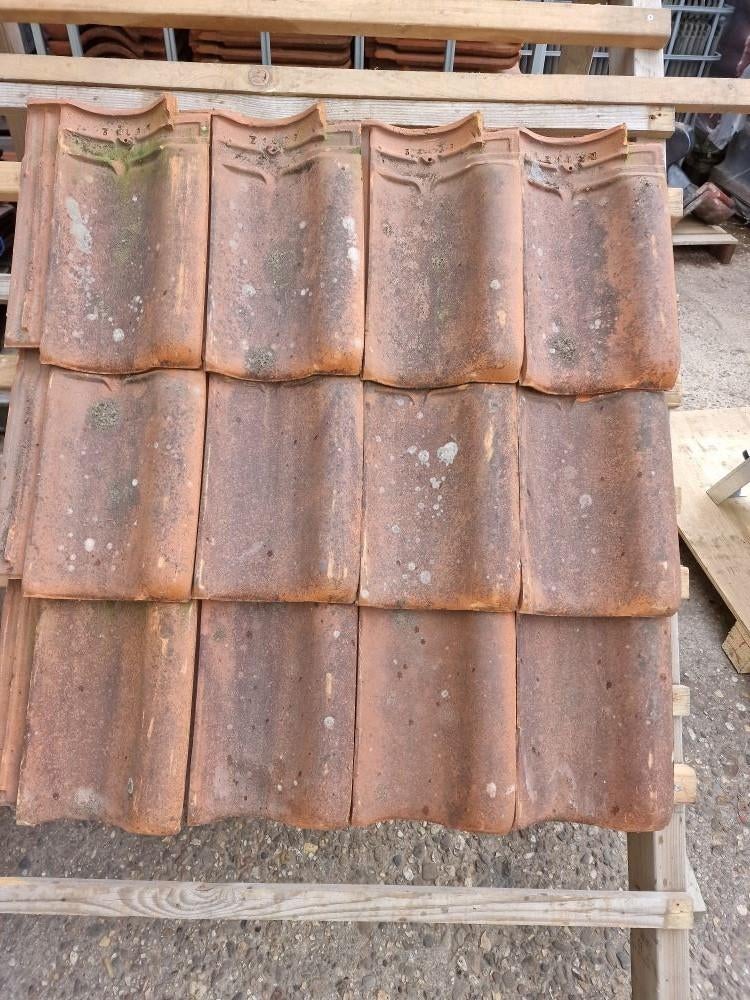 Lot Pottelberg dakpan rood rustiek - 3000 stuks, Enlèvement ou Envoi, Rouge