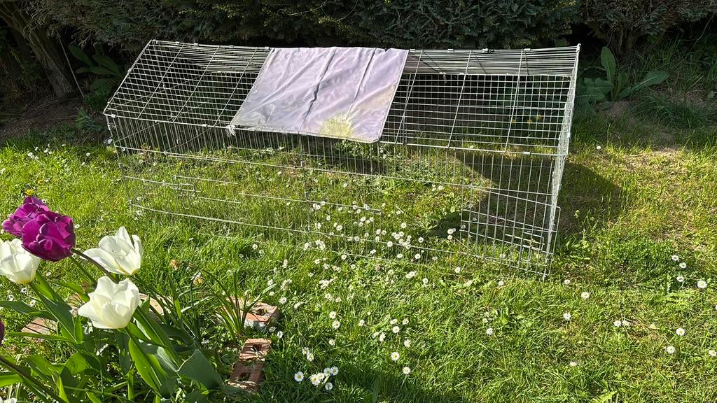 Konijnenkooi, Ophalen, Gebruikt, Kippenhok of Kippenren