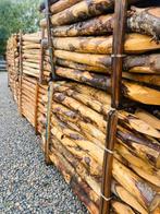 Kastanje palen, ontpunt/ontschorst