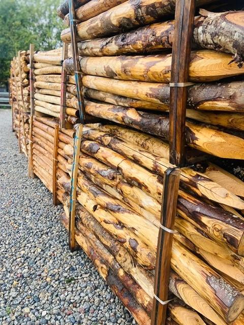 Kastanje palen, ontpunt/ontschorst, Dieren en Toebehoren, Stalling en Weidegang