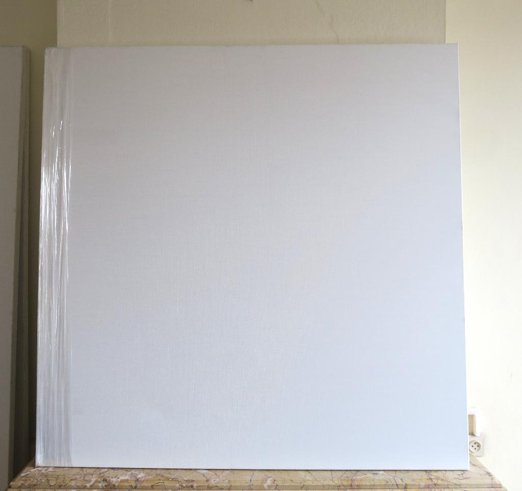 Canvas/Toile professionnelle, Enlèvement, Neuf