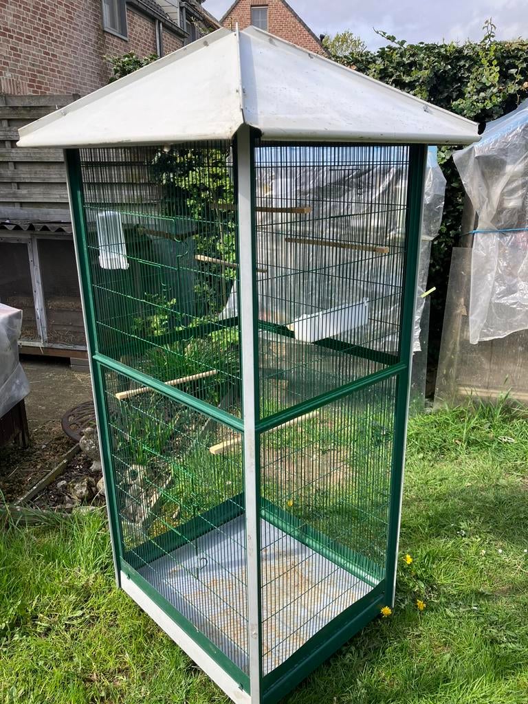 GROTE GROENE VERPLAATSBARE VOLIERE VOOR MEERDERE VOGELS, Dieren en Toebehoren, Ophalen, Zo goed als nieuw, Metaal, Volière