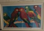 Peinture perroquet, aquarelle, Enlèvement