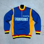 Dijlespurters IJsboerke 1976 koerstrui wielertrui, Ophalen of Verzenden, Zo goed als nieuw, S