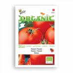 plants de tomates Matina précoces biologiques, Annuelle, Été, Enlèvement, Plantes potagères