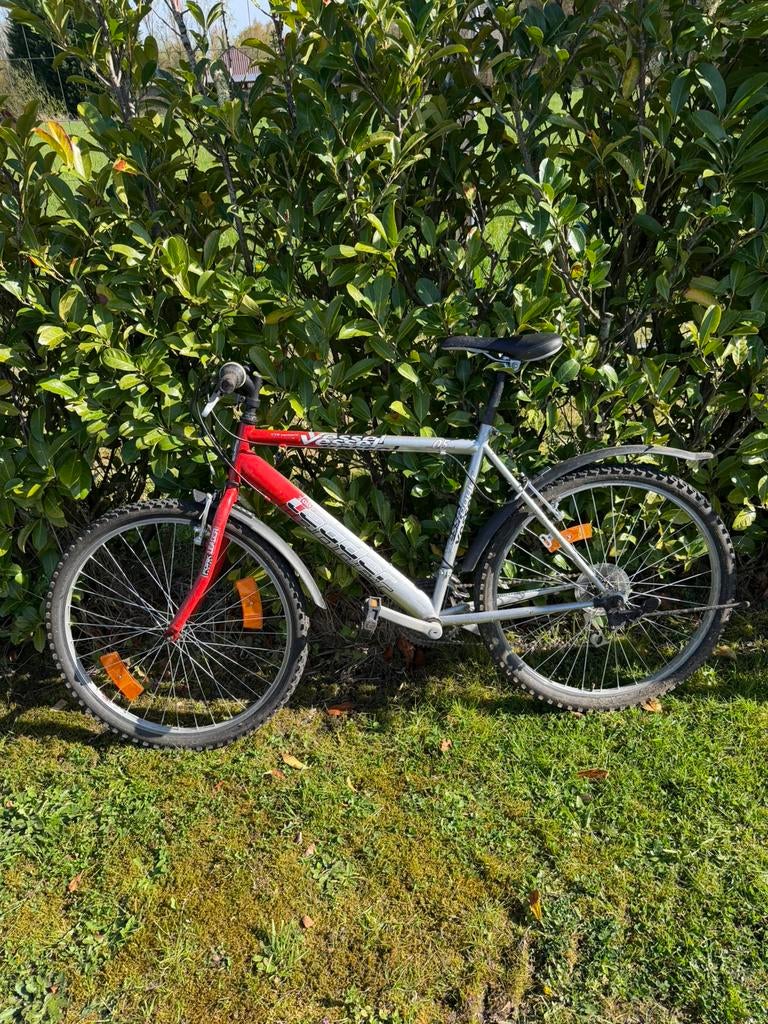 Mountainbike / herenfiets, Enlèvement, Utilisé