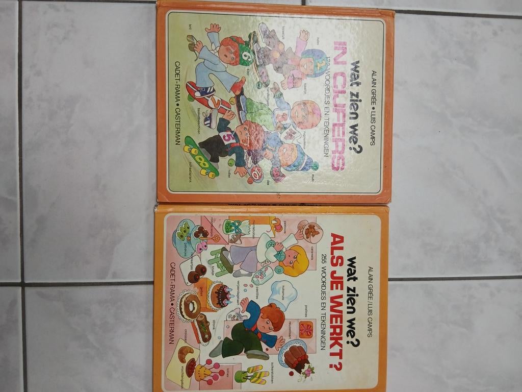 Wat zien we? In cijfers. En wat zijn we? Als je werkt, Verzenden, Nieuw, Casterman