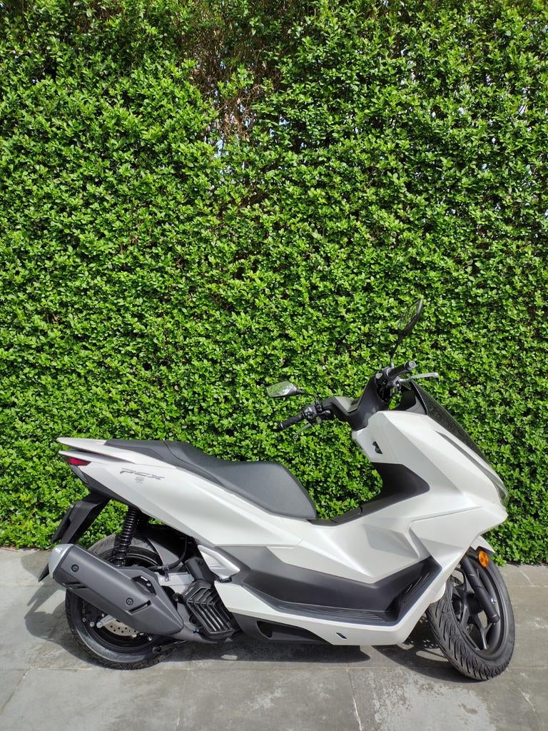 Honda PCX 125, 183 km, Motos, Motos | Honda, Scooter, 1 cylindre, 125 cm³, Jusqu'à 11 kW