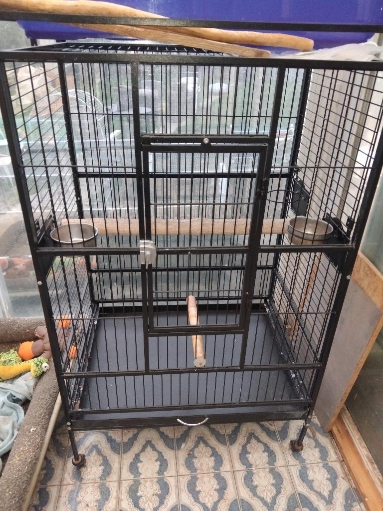 Cage volière a vendre, Animaux & Accessoires, Sexe inconnu, Perroquet, Bagué