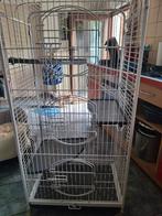 Cage chinchilla, Enlèvement