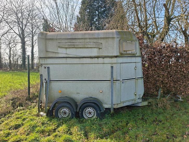 Paarden trailer, Dieren en Toebehoren, Paarden en Pony's | Trailers en Aanhangwagens, Gebruikt, 1½-paards trailer, Polyester, Ophalen