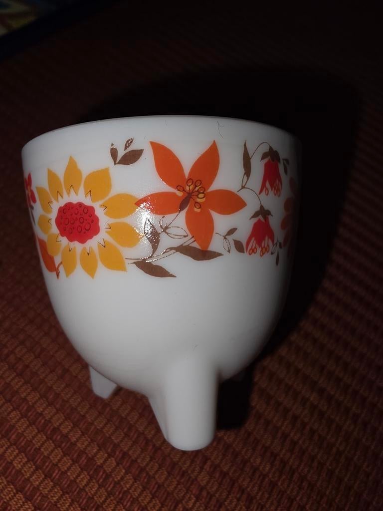 2 cocotiers et un classeur vintage, Enlèvement