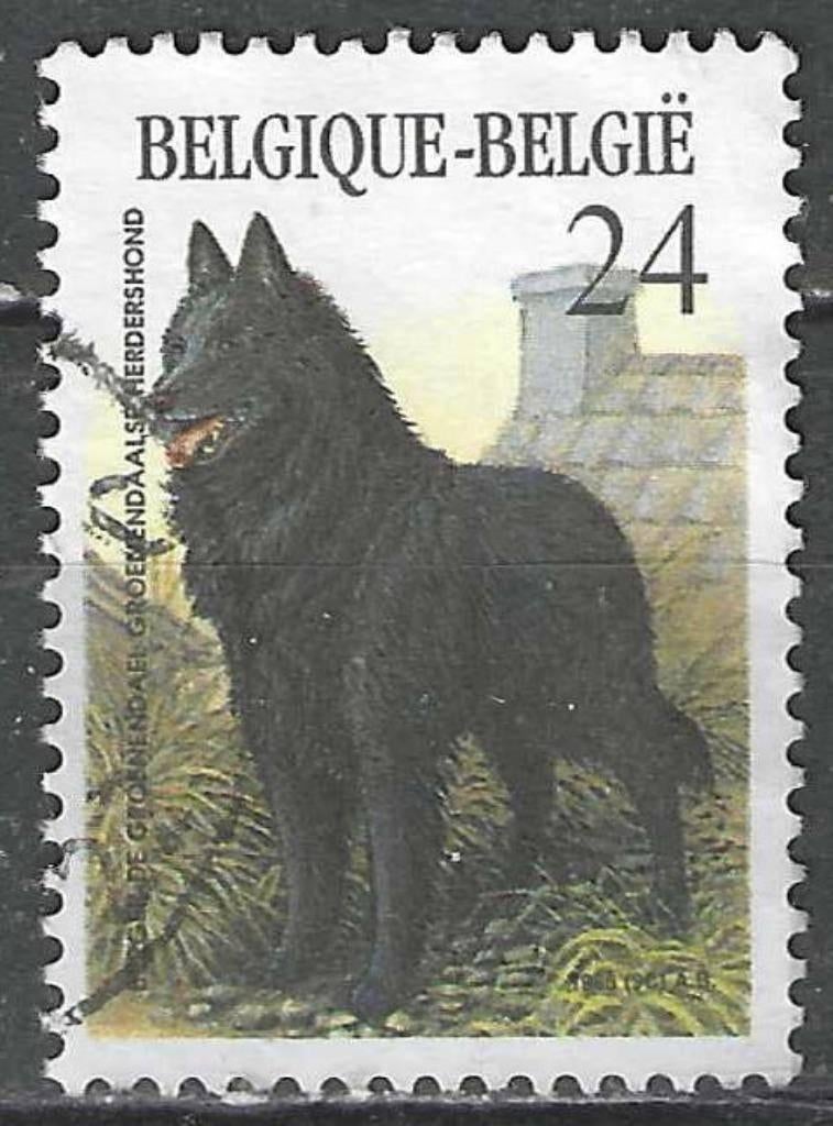 Belgique 1986 - Yvert/OBP 2215 - races de chiens belges (ST), Envoi, Affranchi, Oblitéré