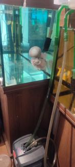 aquaria 250e luik, Dieren en Toebehoren