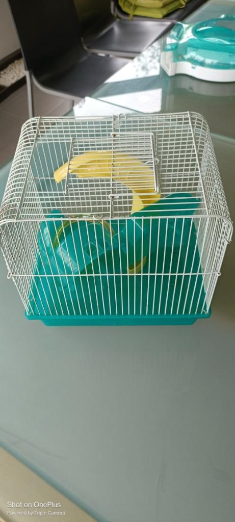 Mooie hamsterkooi, Dieren en Toebehoren, Knaagdieren en Konijnen | Hokken en Kooien, Hamster, Ophalen