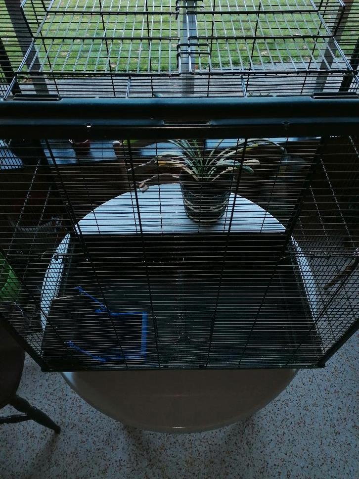 Grote vogelkooi, Dieren en Toebehoren, Vogels | Hokken en Kooien, Gebruikt, Vogelkooi, Metaal, Ophalen of Verzenden