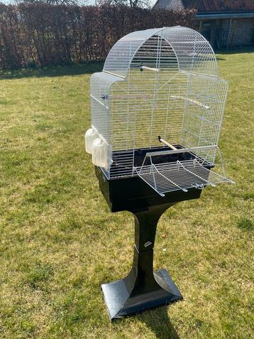 Vogelkooi zoekt nieuwe bewoner  beschikbaar voor biedingen