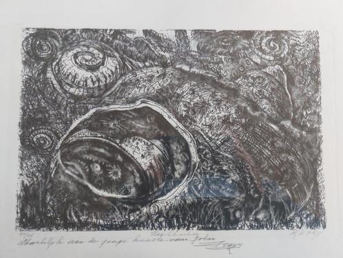 Gravure Renaat Saey Zeeleven, genummerd, gesigneerd, Antiek en Kunst, Kunst | Etsen en Gravures, Ophalen of Verzenden