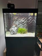 Juwel lido 200, Dieren en Toebehoren, Ophalen, Zo goed als nieuw, Gevuld zoetwateraquarium