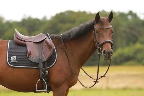 Paarden zadelmak maken en doorrijden, Dieren en Toebehoren, Paarden, Zadelmak