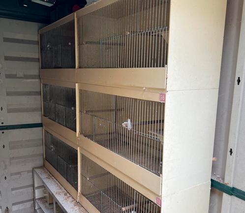 Kunststof Kweekkooien + tuinhuis, Dieren en Toebehoren, Vogels | Parkieten en Papegaaien, Dwergpapegaai of Agapornis