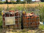 Oude Boomse pannen gesorteerd 39m2, Ophalen, Steen of Klei, 15 m² of meer
