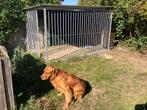 Hondenren hondenhok met slaaphok, Dieren en Toebehoren, Ophalen, Gebruikt, Hondenhok