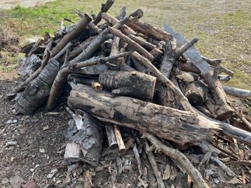 brandhout beschikbaar voor biedingen
