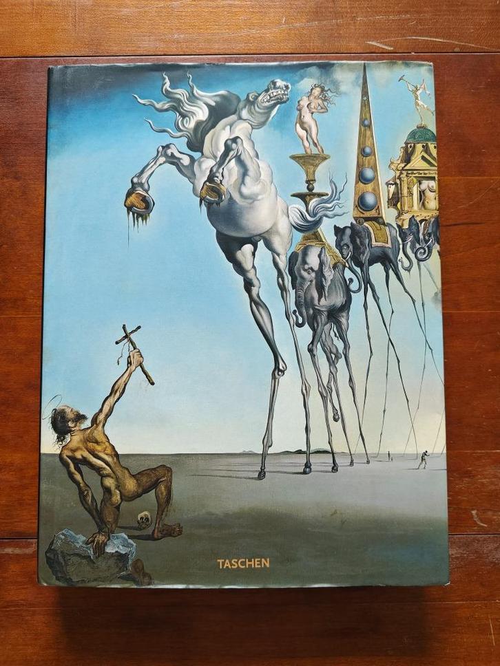 Livres : Dalí 1 & 2 - R. Descharnes et G. Néret - Taschen, Livres, Art & Culture | Arts plastiques, Utilisé, Peinture et dessin