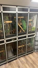 Complete kast met 8 terrariums — klaar voor gebruik, Dieren en Toebehoren, Reptielen en Amfibieën | Toebehoren, Ophalen, Zo goed als nieuw