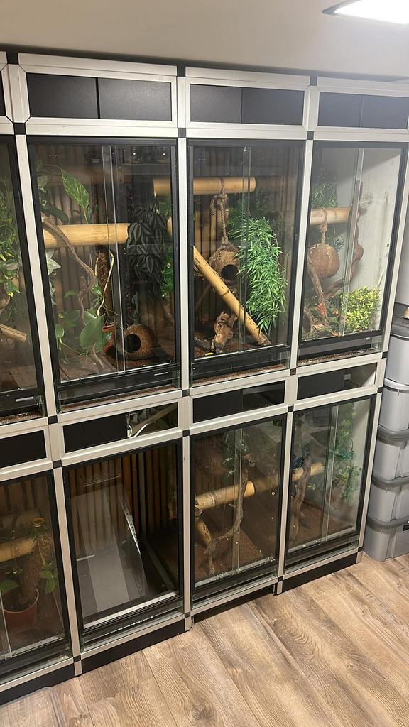 Complete kast met 8 terrariums — klaar voor gebruik, Dieren en Toebehoren, Reptielen en Amfibieën | Toebehoren, Zo goed als nieuw