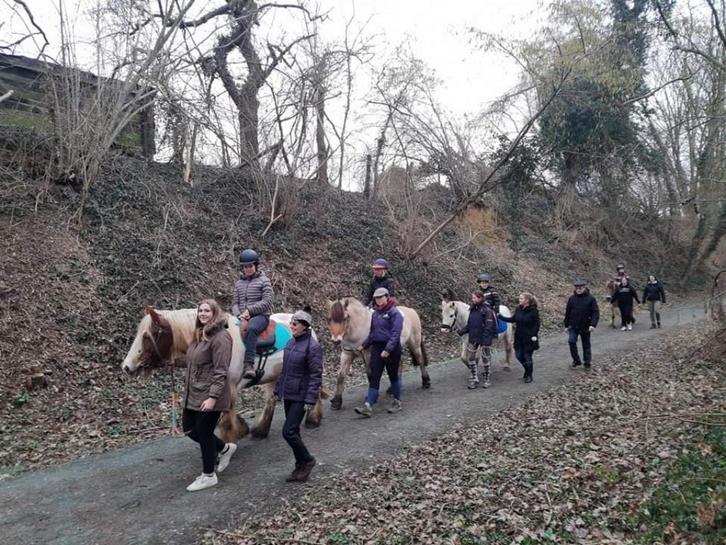 Vrijwilligers voor vzw Rajdado, Dieren en Toebehoren, Paarden en Pony's | Overige Paardenspullen, Ophalen of Verzenden
