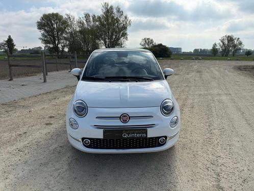 Fiat 500 Dolcevita,Halfleder,Alu velgen,Glasdak,Parkeerassi, Auto's, Fiat, Bedrijf, Te koop, ABS, Airbags, Airconditioning, Alarm