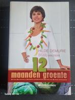 12 maanden groenten, Ophalen of Verzenden, Zo goed als nieuw, Gezond koken, Hilde Demurie