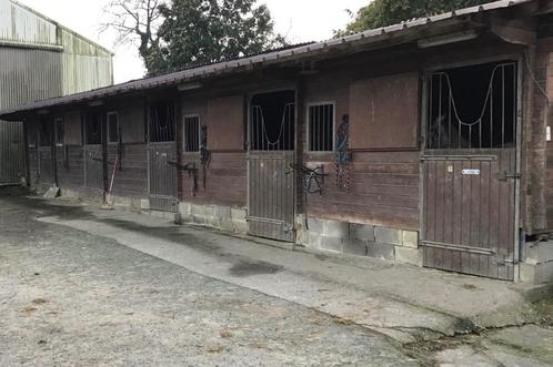 Pension chevaux, Dieren en Toebehoren, Stalling en Weidegang, Stalling, Weidegang, 2 of 3 paarden of pony's