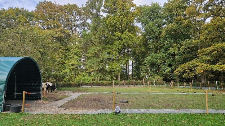 Plaats op dieet browsing paddock, Dieren en Toebehoren, Stalling en Weidegang, Weidegang, 1 paard of pony